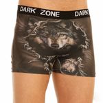 Трусы мужские боксеры с 3D принтом DARKZONE DZN1009