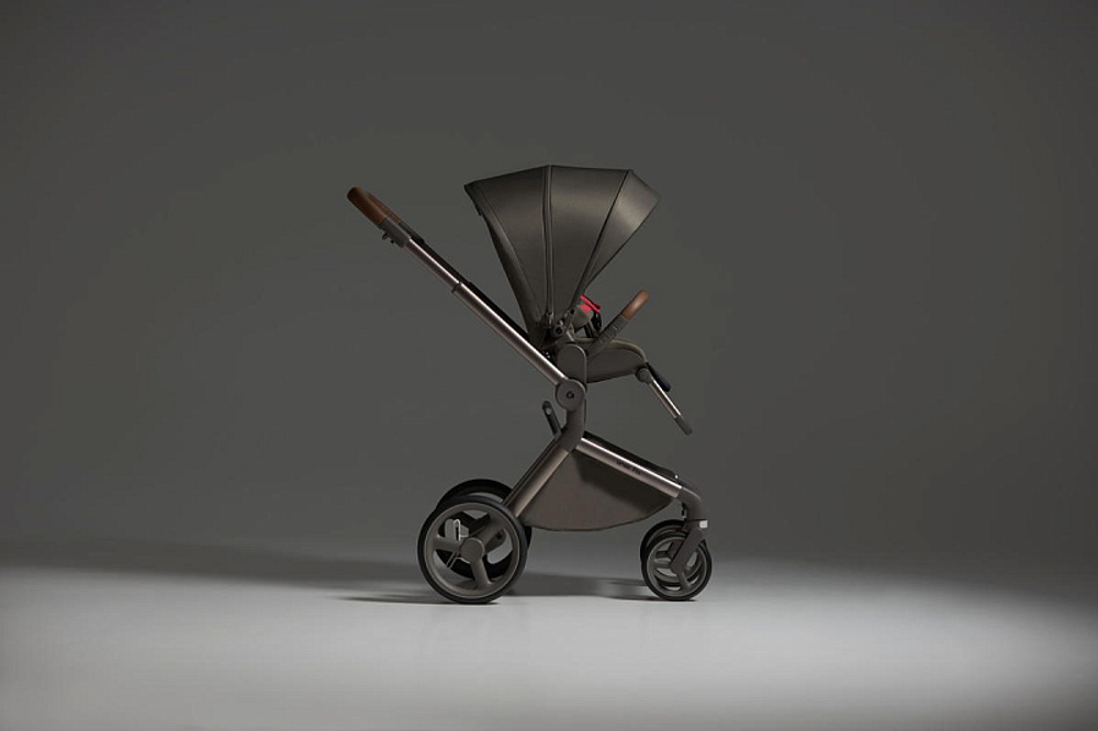 Детская коляска Anex Flo 2 в 1 Cesar