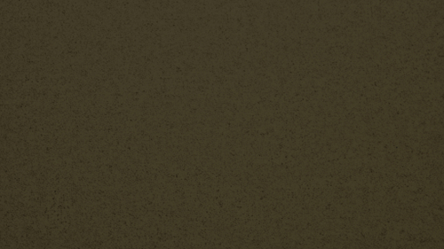 GERMES 04 мебельная ткань велюр, коричневый 1,4 м