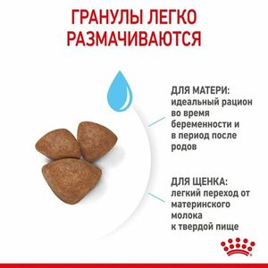 Уценка! Срок до 06.2024/ Корм для щенков мелких пород до 2-х месяцев, Royal Canin Mini Starter Mother & Babydog