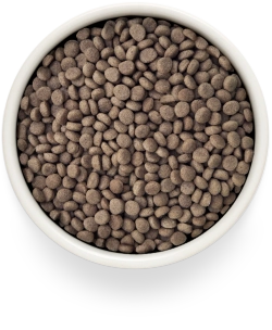 Grandorf URINARY S/O MODERATE CALORIE, Gluten & Grain Free, Veterinary Diet (Turkey)