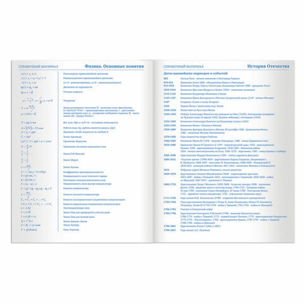 Дневник 5-11 класс 48 л., твердый, BRAUBERG, фольга, с подсказом, "Модный Пёс", 105596