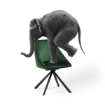 Стул на металлокаркасе Woodville Окленд крутящийся темно-зеленый, черный, ножки черные