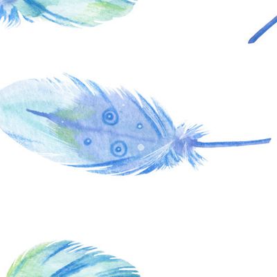 Пёрышки (компаньон)