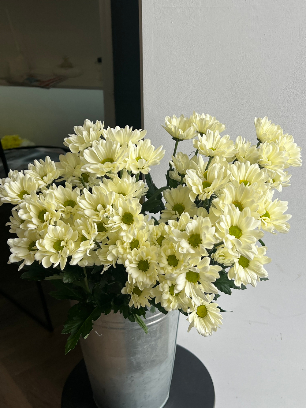 Хризантема в кремовом оттенке