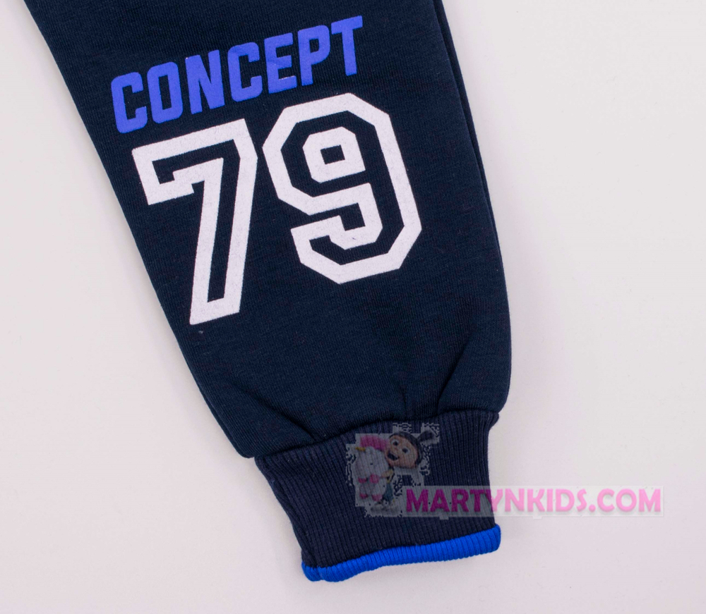 костюм теплый начес CONCEPT капюшон 3761