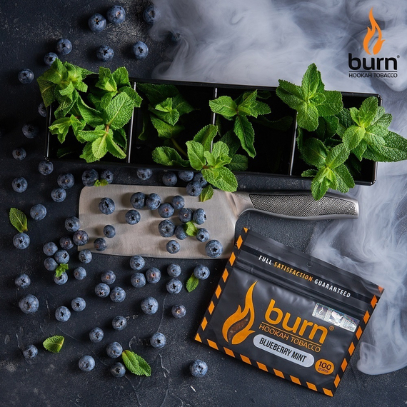 Burn Blueberry Mint (Блюбери Минт), 100 гр