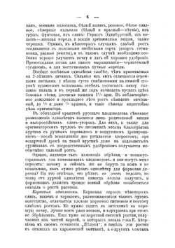 Обрезка плодовых деревьев и ягодных кустарников: Когда и как производить их обрезку и формирование | Рытов Михаил Васильевич