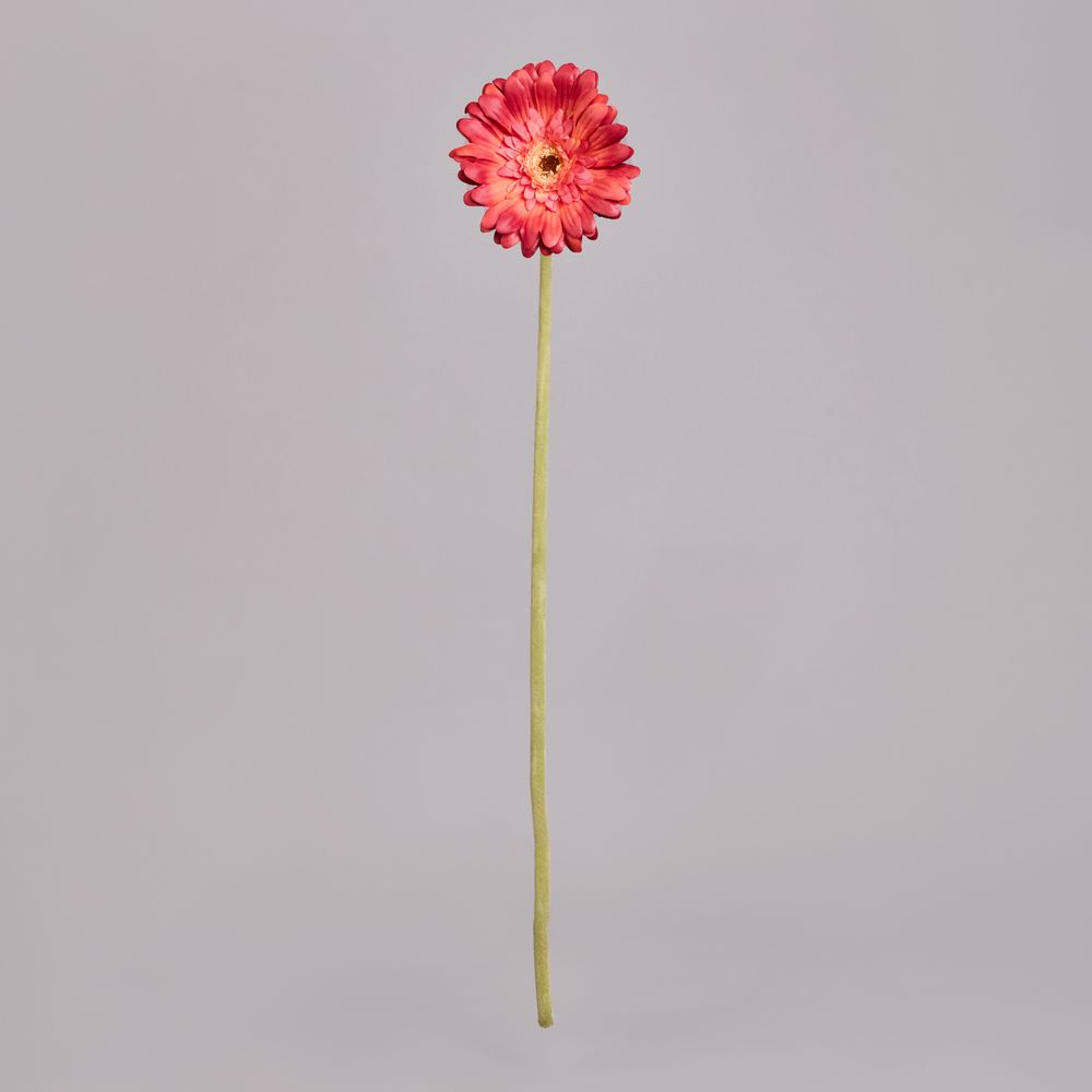 ЦВЕТОК ИСКУССТВЕННЫЙ "ГЕРБЕРА" ВЫСОТА=61СМ. (МАЛ=24 ШТ/КОР=96ШТ.)