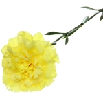 Цветок искусственный «Гвоздика» 68см желтая