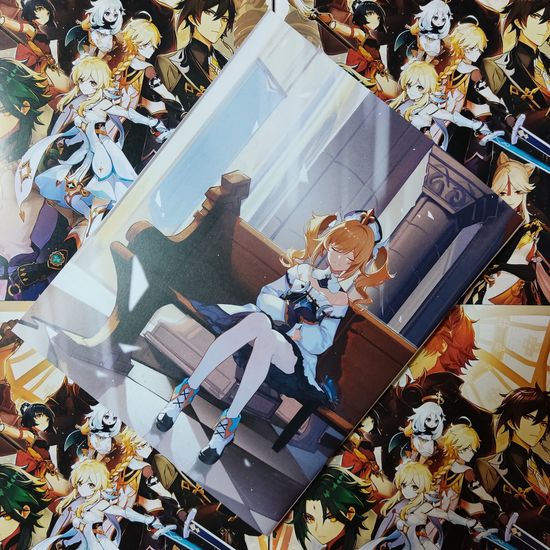 Тетрадь Genshin Impact Characters