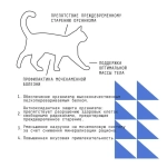 AJO (Айо) Cat Grand Master Сухой полнорационный корм для кошек старшего возраста, 1,5 кг