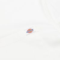  Поло мужское Dickies Cadiz Quarter Zip артикул:DK0A88PIC481 - купить в магазине Дайс