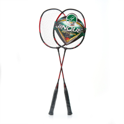 Набор для бадминтона DOUBLE FISH JINQUE 1301