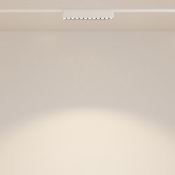 Трековый магнитный светодиодный светильник Maytoni Radity Points TR082-1-12W3K-M-W