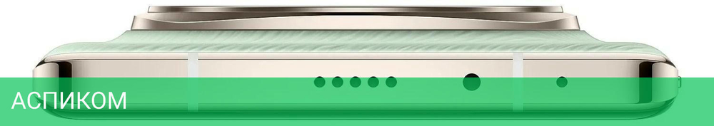 Смартфон Honor Magic6 Pro 12GB/512GB Epi Green (BVL-N49)