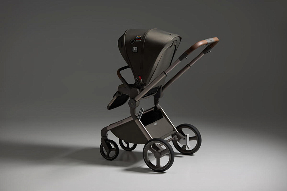 Детская коляска Anex Flo 2 в 1 Cesar