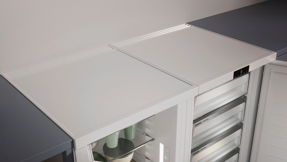 Холодильник Liebherr Re 1201-20