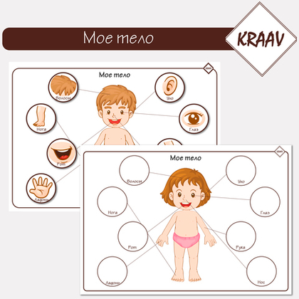 Развивающая игра на изучение частей тела "Мое тело"