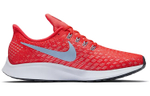 Кроссовки Nike Pegasus 35 (Женская размерная сетка)