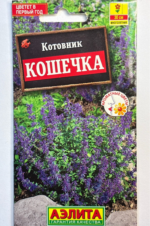 Котовник Кошечка СМЦ-791