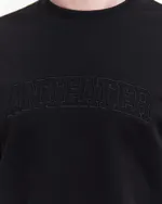Толстовка Anteater Crewneck BigText черная