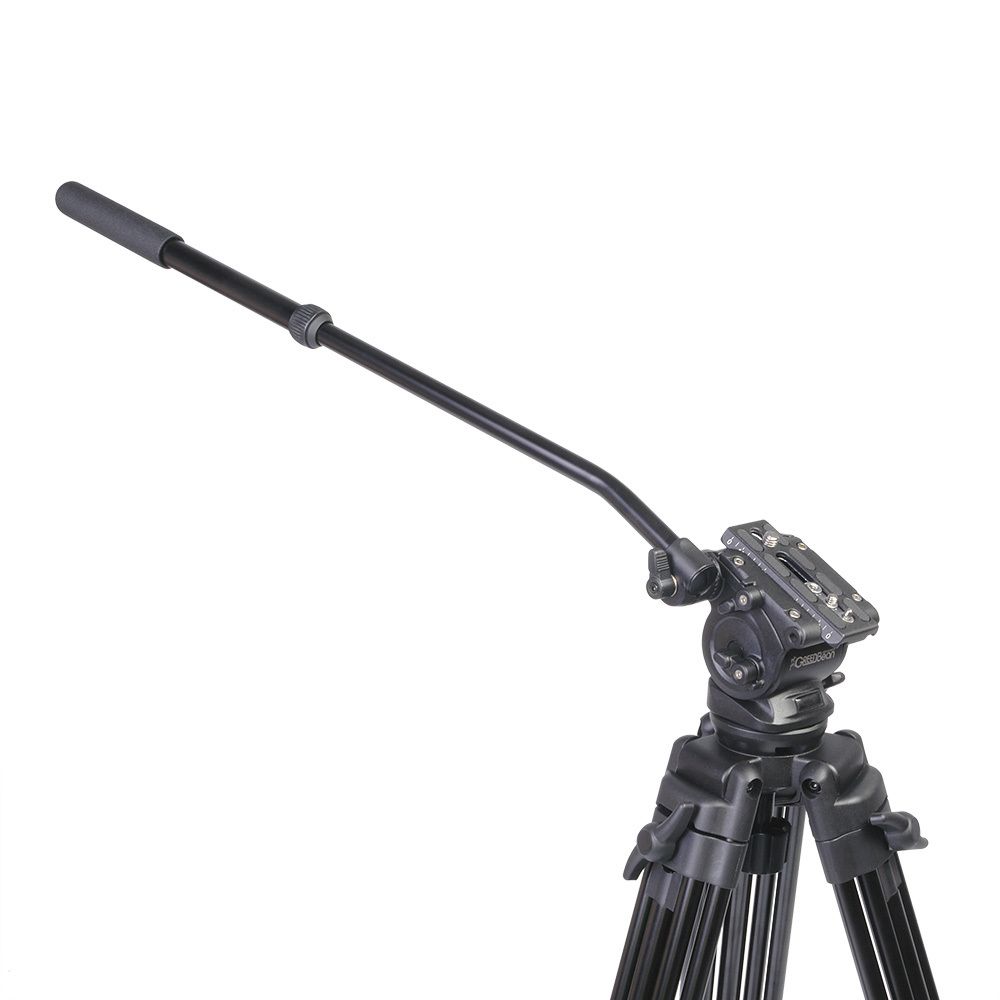 GreenBean VideoMaster 306