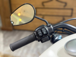 Harley-Davidson Sportster Iron 883 (XL883N) 2018