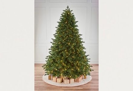 Ели с лампочками