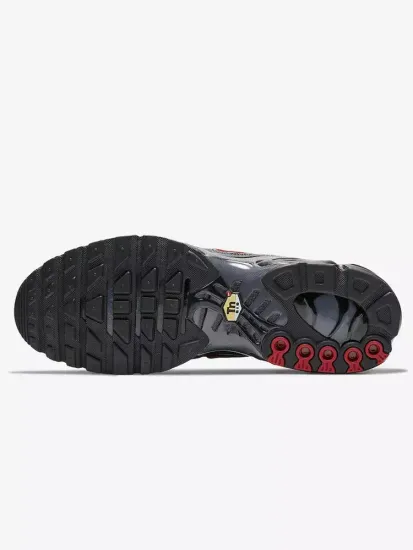 Кроссовки Nike Air Max Plus Black/Grey/Gradient Red