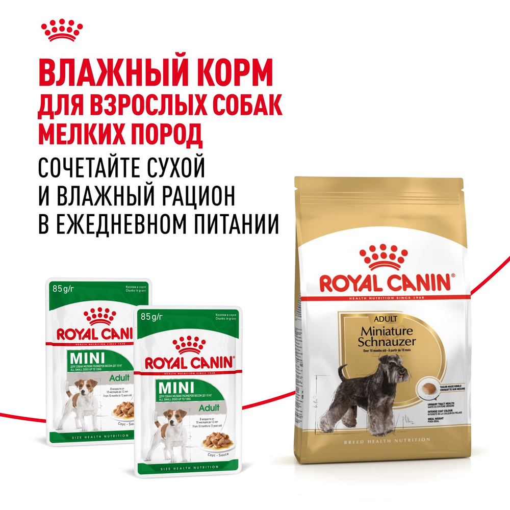 Royal Canin Miniature Schnauzer Adult Миниатюрный Шнауцер Эдалт Корм сухой для взрослых собак породы Миниатюрный Шнауцер от 10 месяцев 3кг