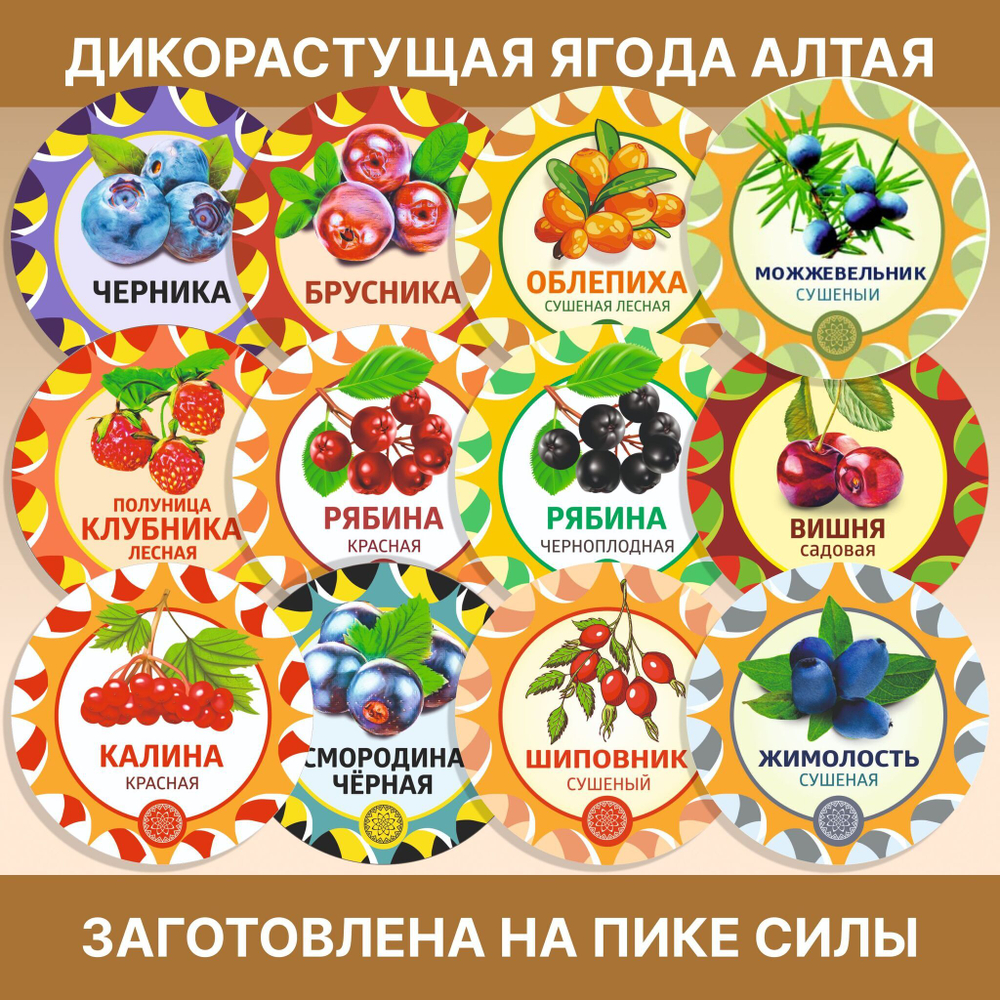 Лимонника лоза щепа.