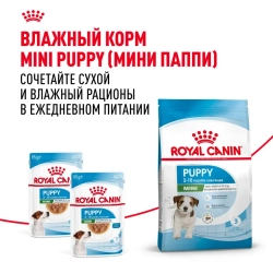 Royal canin mini puppy сухой корм для щенков мелких пород до 8 месяцев - 800 г