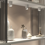 Накладной светодиодный светильник Elektrostandard Cors 25032/LED 10W 4200K белый/серебро