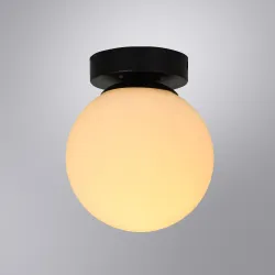 Настенно-потолочный светильник Arte Lamp ALCOR