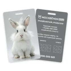 Карта Москвёнок BUNNY №4 (проход + питание)