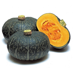 Делика F1 семена тыквы (Takii / Таки)