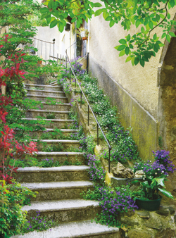 Коллекция Города и страны