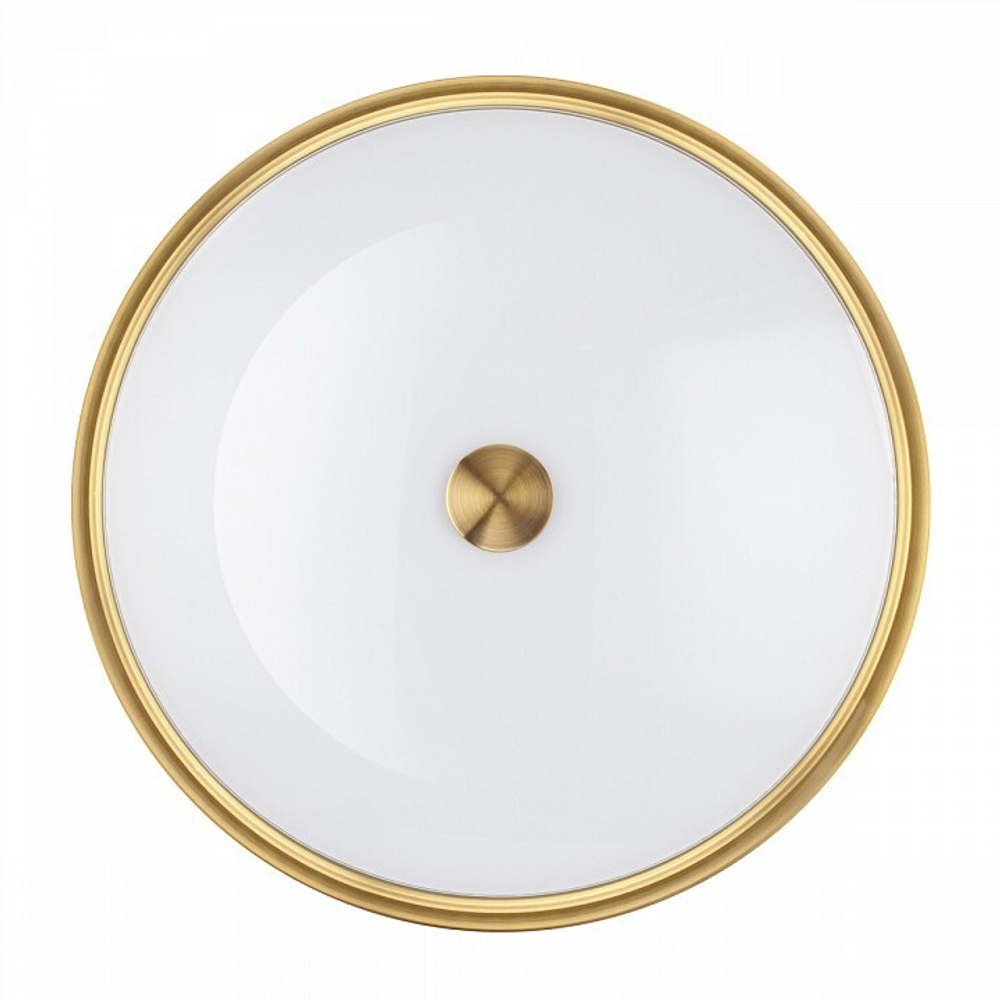 Накладной светильник Odeon Light 4824/4C