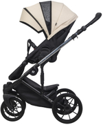 Детская коляска Riko Nano Thermo Ecco 3 в 1 с автокреслом Rant Cruise Grey 03 Ivory beige (бежевый)