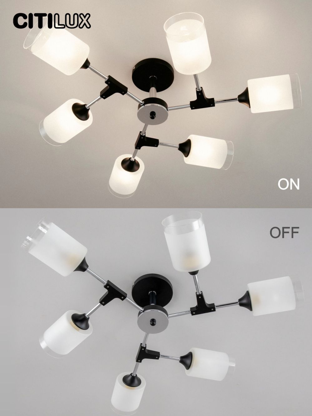 Citilux Эрик CL136165 Люстра потолочная Чёрная