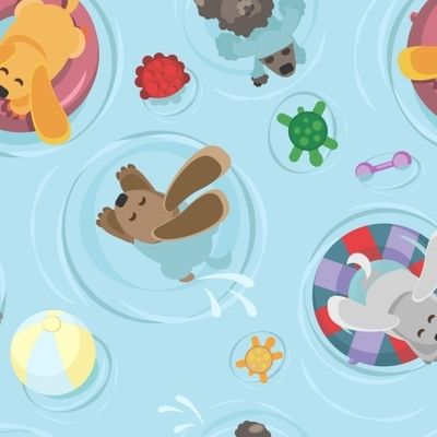 Собаки плавают