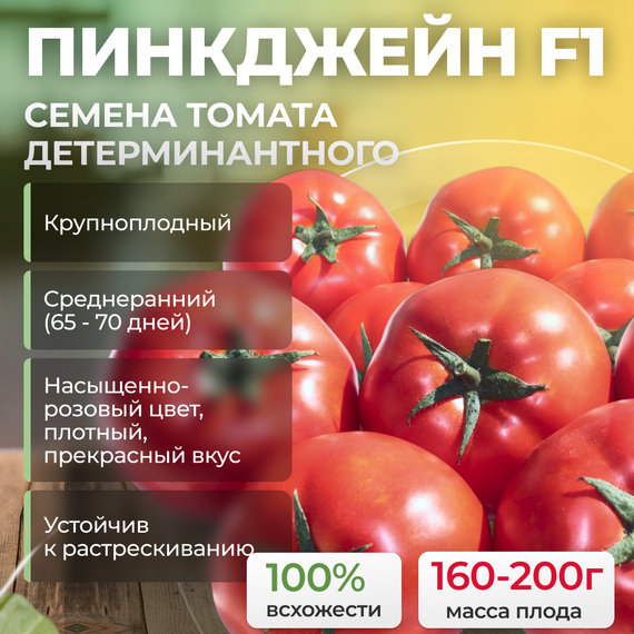 ПИНКДЖЕЙН F1 семена томата детерминантного (Enza Zaden)