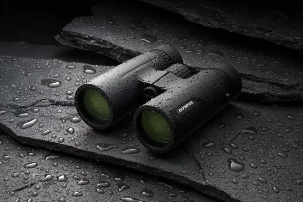 Бинокль Olympus 8x42 PRO