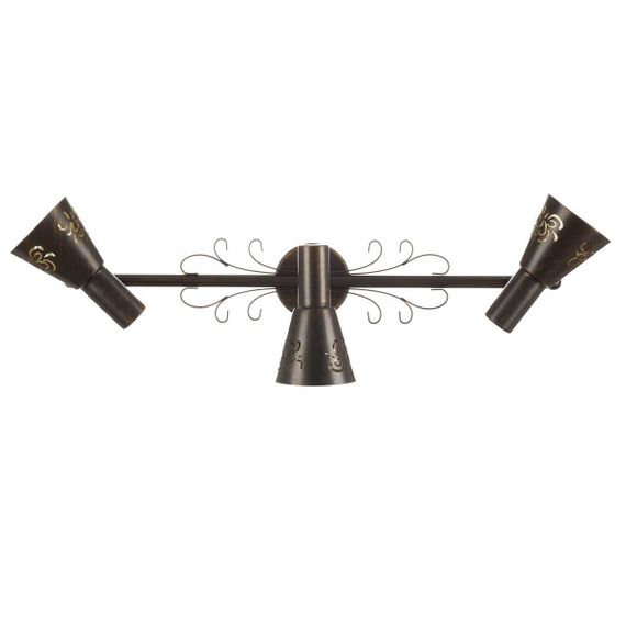 Спот Citilux Дункан CL529531