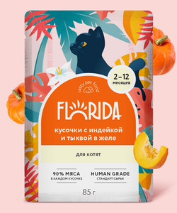 Florida Паучи для котят кусочки с Индейкой и Тыквой в желе, 85гр