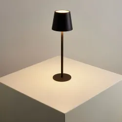 Уличный настольный светильник Arte Lamp