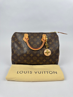 Сумка Louis Vuitton Speedy 30