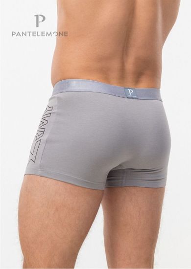Трусы мужские боксеры Pantelemone PMH-1539, серый