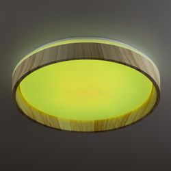 Citilux ENZO CL753352G LED RGB Светильник с пультом Клён